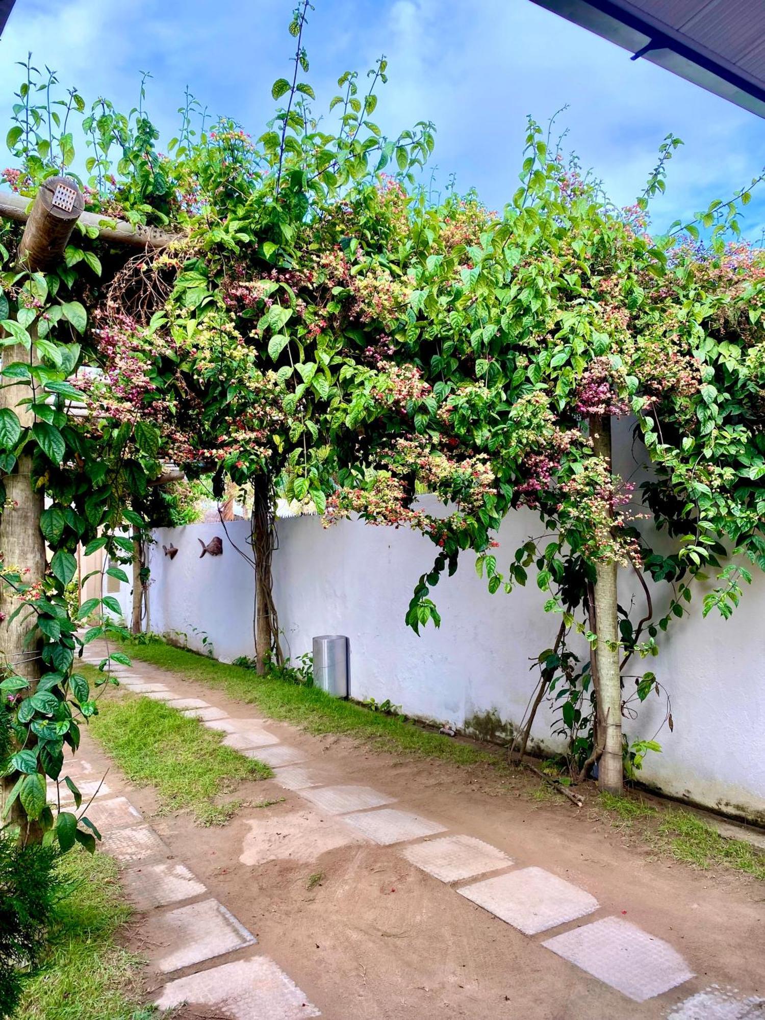 Pousada Paraiso Dos Milagres São Miguel dos Milagres Zewnętrze zdjęcie